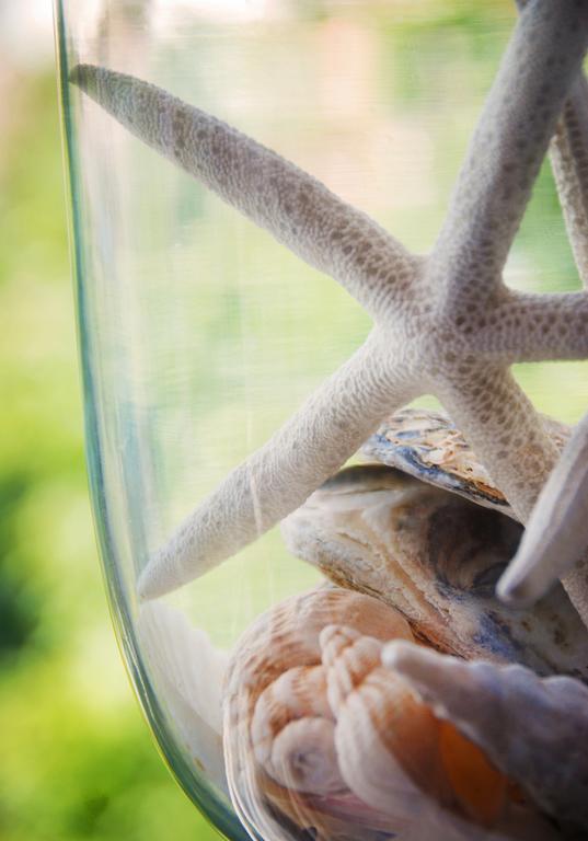 Waters Reach Guest Houseクライストチャーチ 部屋 写真